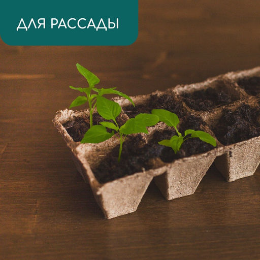 Цена за 2 шт. Кассета для рассады, 30×15×8 см, 8 ячеек по 150 мл, 6×6 см, торф, набор 3 шт.