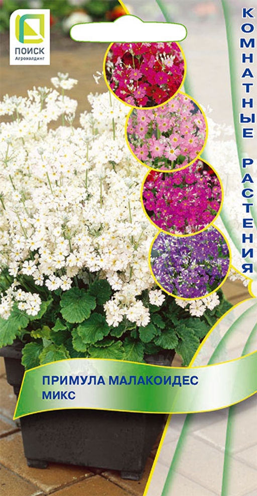 Примула малакоидес Микс (ЦВ) (К) 0,01гр. - Поиск фото 2