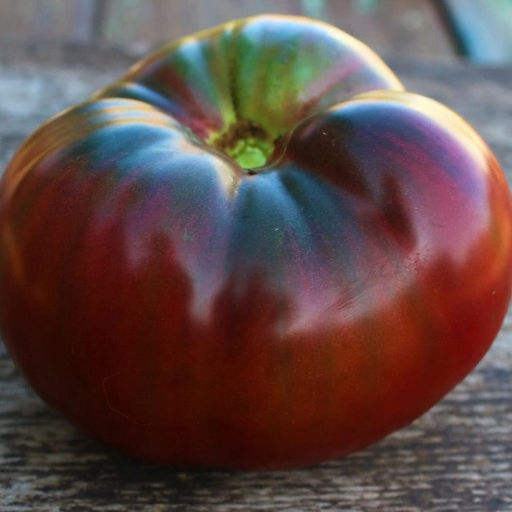 7090T Томат Чёрный Леон 10шт