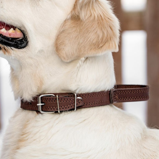 Ошейник кожаный тройной, с ручкой, 57 х 2.5 см, ОШ 35-45 см, коричневый - Пижон фото 6