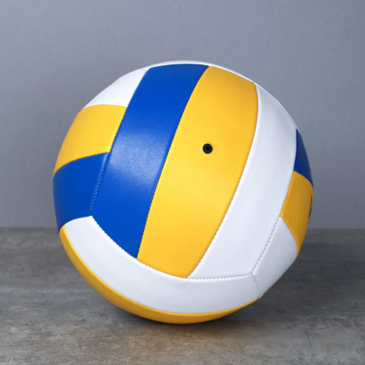 Мяч волейбольный Woohooo Volley / Размер 5 / ПВХ 1,6 / Синий / уп 50/ - Галеонтрейд фото 2