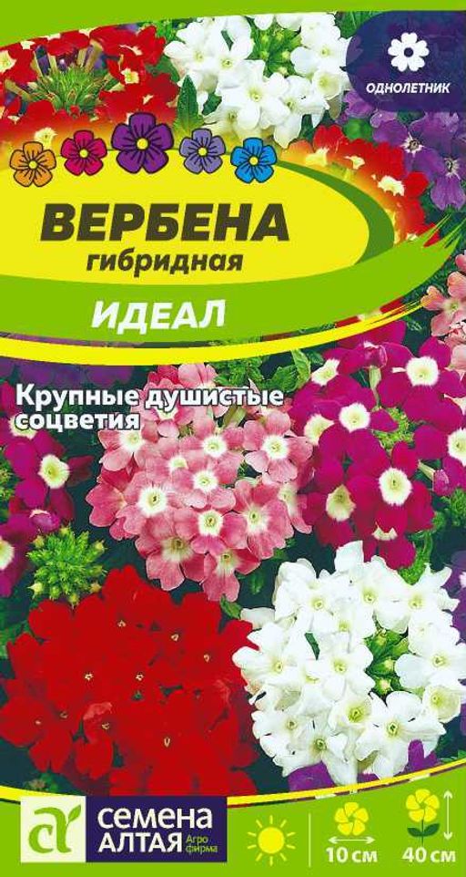 Цветы Вербена Идеал гибридная/Сем Алт/цп 0,05 гр. (2028 / 3986)