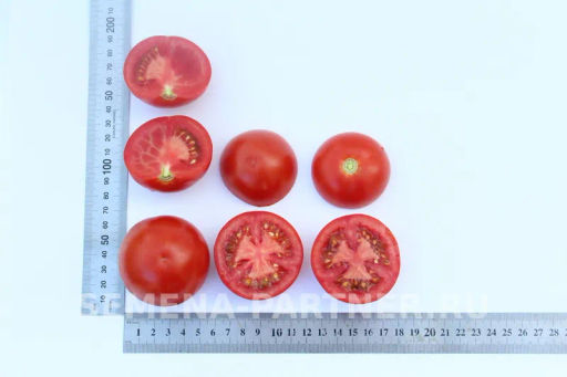 Томат Барух F1 - Партнер фото 7