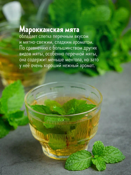 Камлёвъ Марокканская Мята / Эко Саше - чай, 48 г (16 саше)