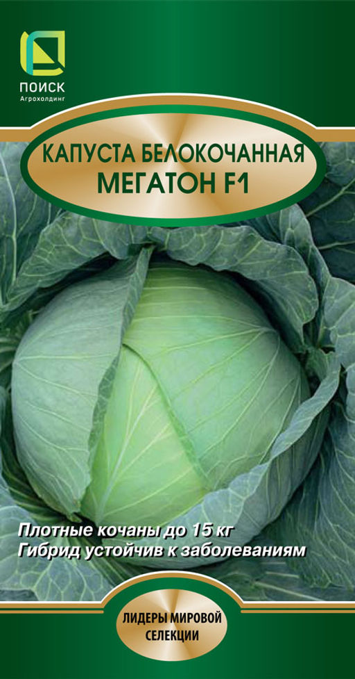 Капуста белокочанная Мегатон F1 (ЦВ*) 10шт. - Поиск фото 2