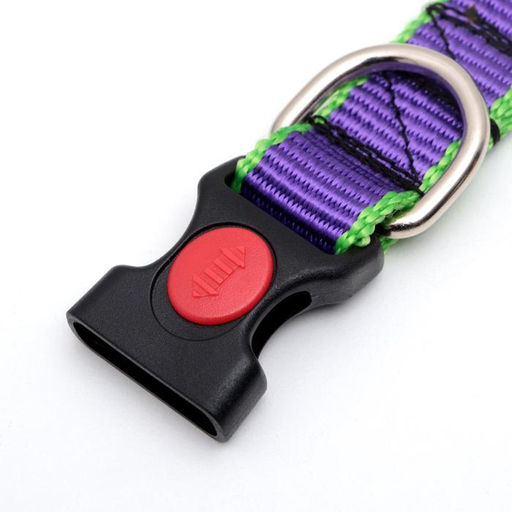 Ошейник капроновый, фастекс с замком, 50 х 2 см, ОШ до 50 см, фиолетовый с зелёным - Пижон фото 5