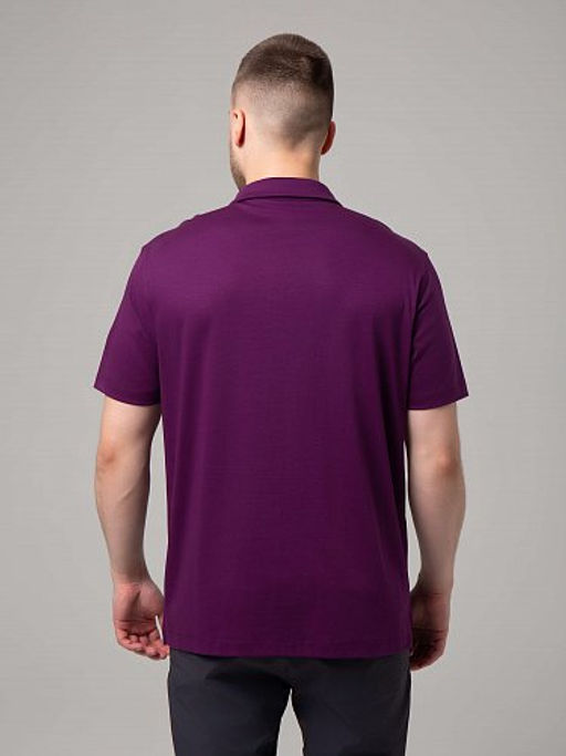 E2496-20 поло мужское - Strobbs фото 4