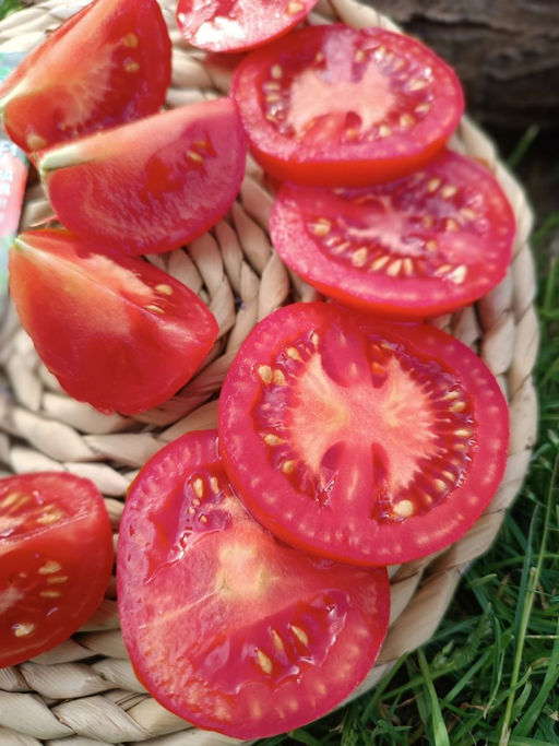 Томат СОСЕДСКАЯ ЗАВИСТЬ F1 Манит и ласкает взгляд изумительный каскад искристо-красных плодов! Соседям на зависть, а вам на радость! - Уральский дачник фото 5