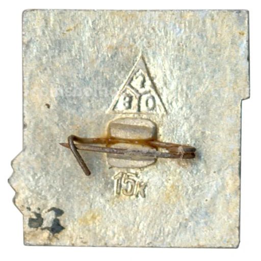 Значок Владимир