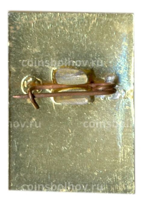 Значок Теберда