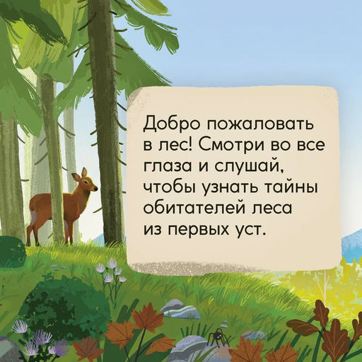 Кто живёт в лесу? Иллюстрированный атлас животных. Вилла А. - Махаон фото 4
