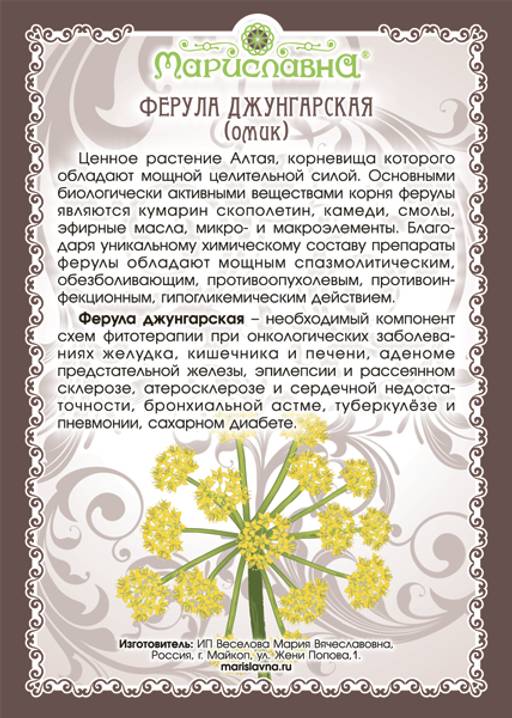 Ферула джунгарская (омик), (корень) - Мариславна фото 2