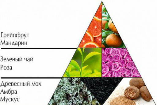 НЗ. Духи "Зеленый чай " (16мл) /24