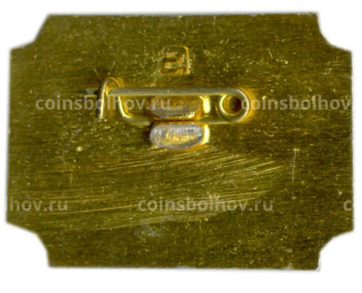 Значок Санкт-Петербург Дворец-музей А.Д.Меншикова