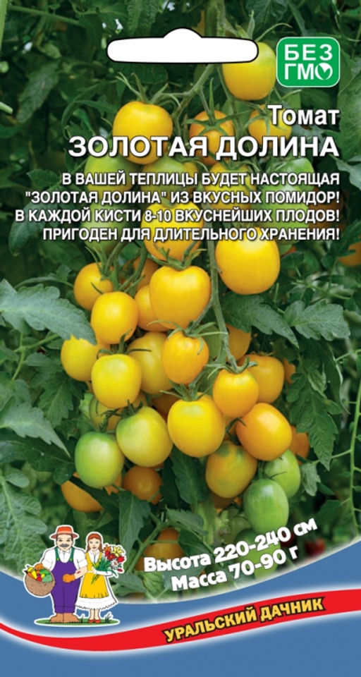 Томат ЗОЛОТАЯ ДОЛИНА В вашей теплице будет настоящая золотая долина из вкусных помидор! В каждой кисти по 10 плодов! Пригоден для хранения!