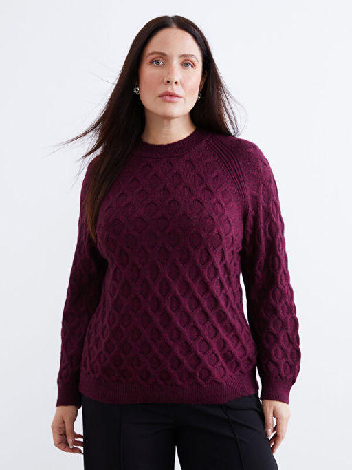 Bisiklet Yaka Kendinden Desenli Kad?n Triko Kazak