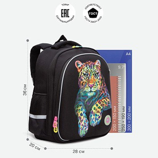 RAz-386-5 Рюкзак школьный