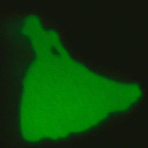 Набор для опытов 7 весёлых опытов, 7 в 1, светящиеся, Принцессы - Disney фото 13