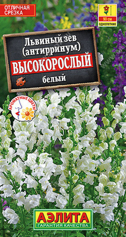 1580A Львиный зев Высокорослый белый 0,1гр