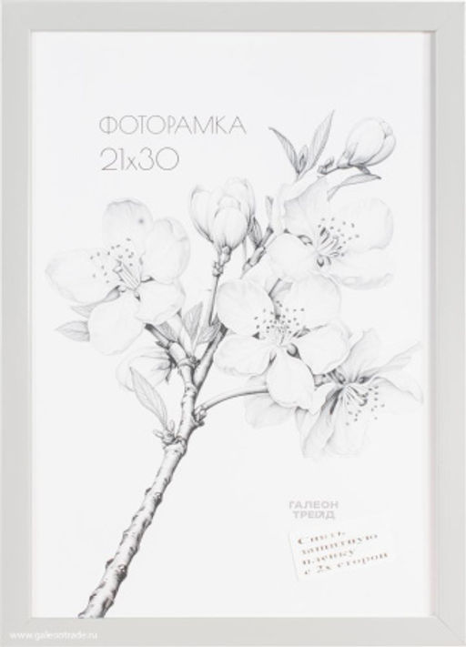 Фоторамка 21х30 с акриловым стеклом/ 1504А-012AL /уп10 ф
