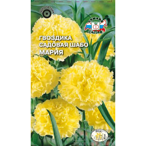 Гвоздика Шабо Мария 0,1г (СеДеК)