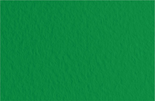 Fabriano Бумага для пастели Tiziano 160 г/м2 A1+ 70 х 100 см лист 10 л. Biliardo/Темно-зеленый 52811037