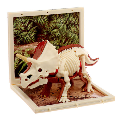 Набор для опытов Диномир: Трицератопс, строение тела динозавра, 33 детали - Эврики фото 6