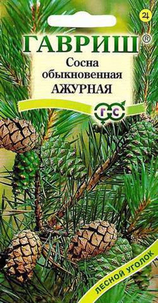 Сосна Ажурная обыкновенная 0,2гр (г)