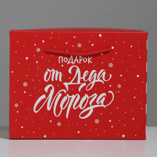 Цена за 2 шт. Пакет - коробка новогодний подарочный Подарок, 23?18?11 см