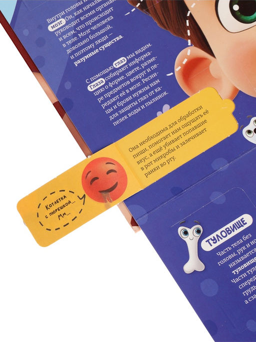 Книга с окошками «Как устроен человек?»