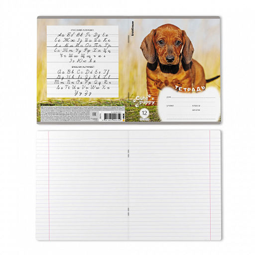 Цена за 10 шт. Тетрадь школьная ученическая ErichKrause Щенки, 12 листов, линейка (в плёнке по 10 шт.)_MIX-PACK  фото 8