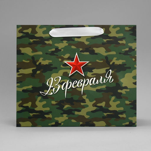 Цена за 2 шт. Пакет подарочный ламинированный, упаковка, «С 23 февраля», ML 27×23×11.5 см