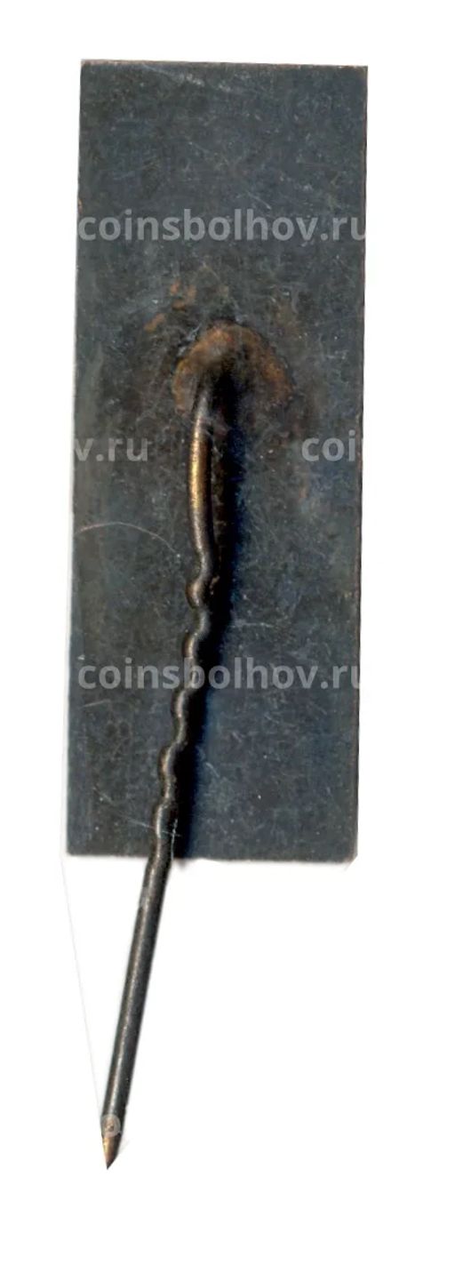 Значок Парчипиус