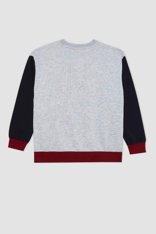 Толстовка оверсайз с круглым вырезом и принтом для мальчиков - Defacto фото 3