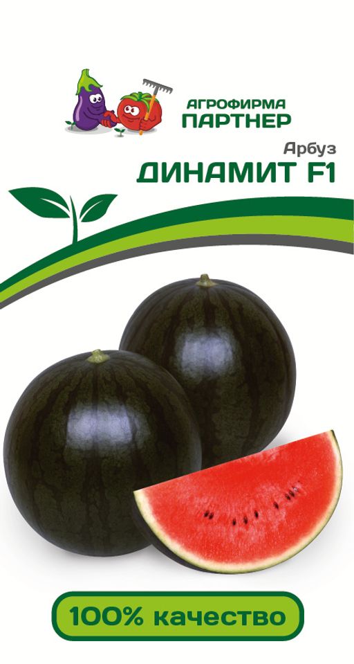 Арбуз Динамит