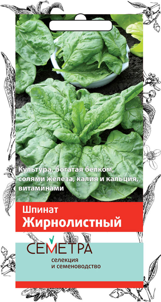 Шпинат Жирнолистный (ЦВ) 3гр. - Поиск фото 2