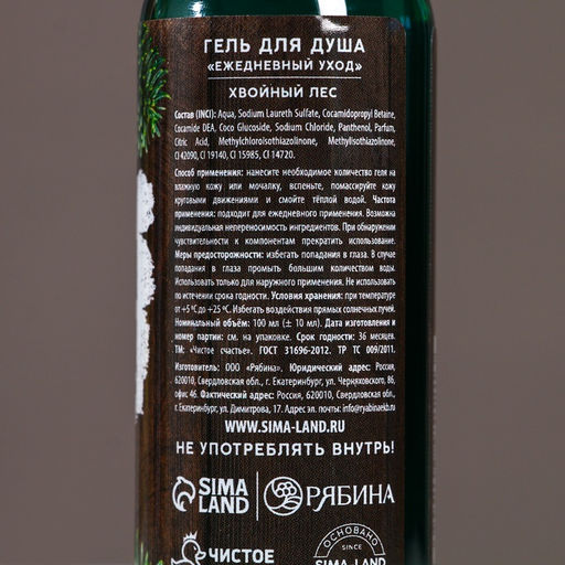 Новогодний подарочный набор косметики «Богатства и успеха», гель для душа 100 мл и мочалка для тела, Чистое счастье