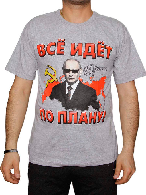 Футболка муж. принт "Все идет по плану" серый меланж