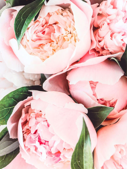 Пакет подарочный ламинированный горизонтальный Белые бутоны, L 40?31?14 см