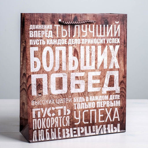 Цена за 2 шт. Пакет подарочный ламинированный, упаковка, «Больших побед», MS 18×23×8 см