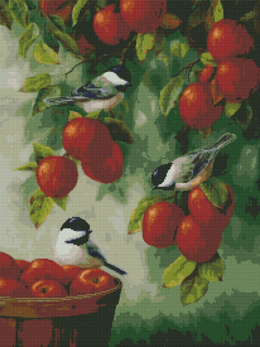 Вышивка крестиком 40х50см, Птицы и яблоки