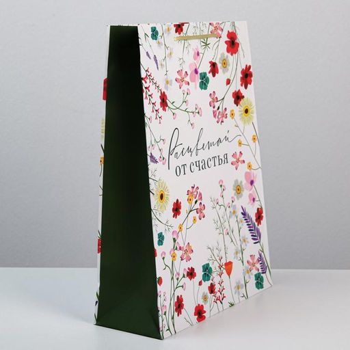 Цена за 2 шт. Пакет подарочный ламинированный, упаковка, Расцветай от счастья, L 28?38?9 см