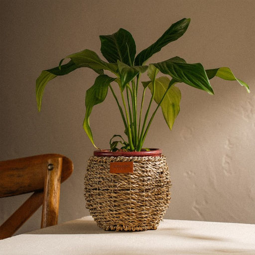 Кашпо SL Home ручного плетения, круглое, солома, 15.5×15.5×12.5 см