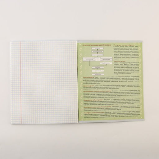 Тетради предметные, 48 л., А5, набор из 3 шт., «Шрифты»