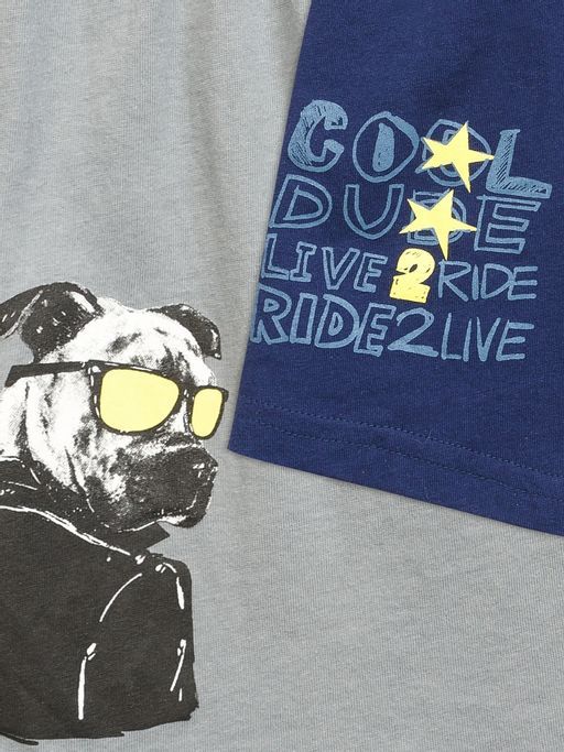 BUB4222(2шт. в упаковке) трусы для мальчиков - Pelican фото 2