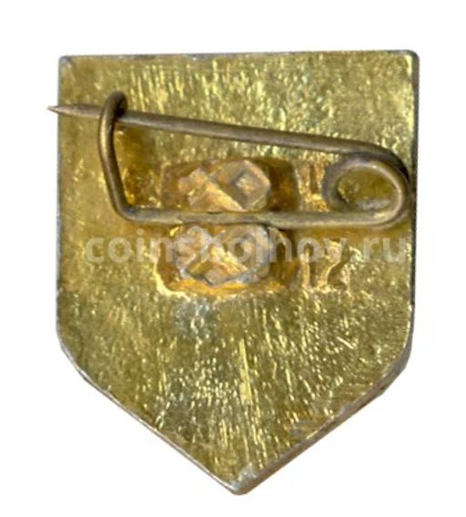 Значок Сосновка