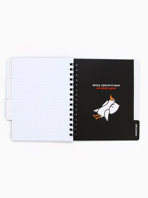 Цена за 2 шт. Блокнот с разделителями А6, 48 листов «Ленивый блокнот»