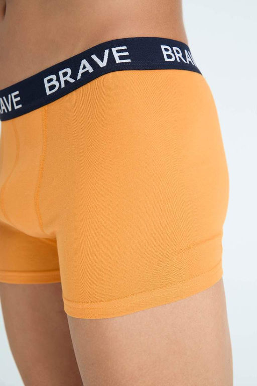 Комплект боксеров стандартной посадки (3 шт.) - Defacto фото 6