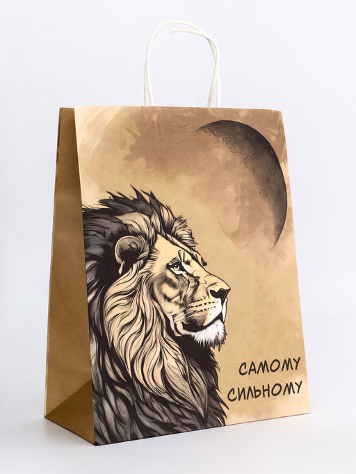 Цена за 2 шт. Пакет подарочный крафт «Самому сильному» 26×11×32 См