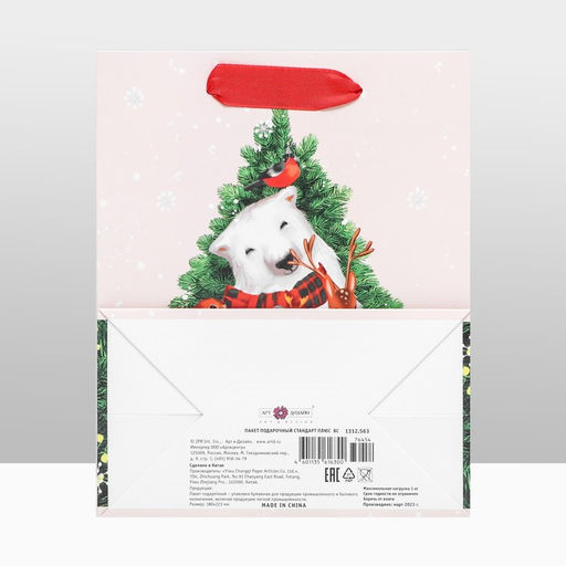 Пакет подарочный Принимайте поздравления, 18 х 22,3 х 10 см - Simaland фото 8